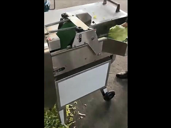 臺(tái)灣大型切菜機(jī)